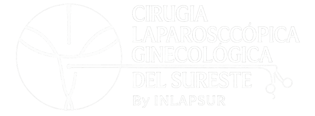 ChatGPT Image 1 dic 2025, 12_05_25 p.m.